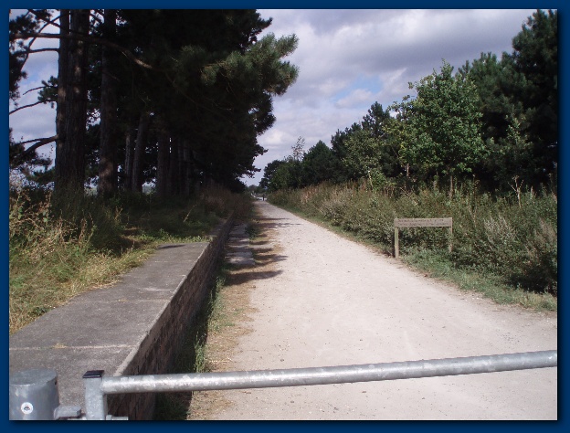 600x449 pixels (136K)